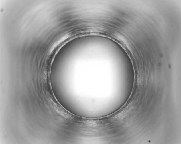 X0000088880827200706221812