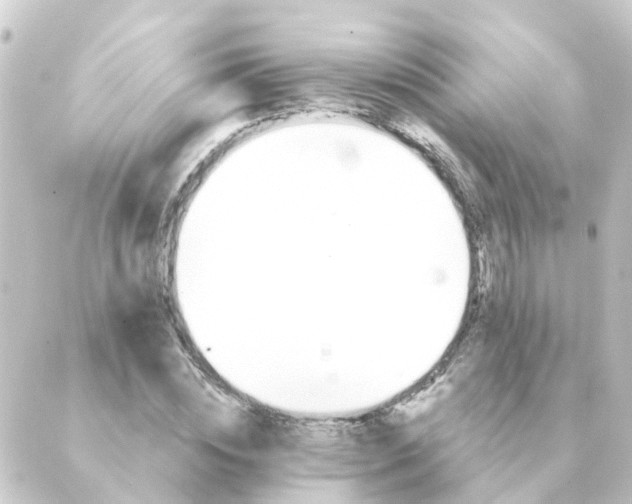 X0000088880828200706221812