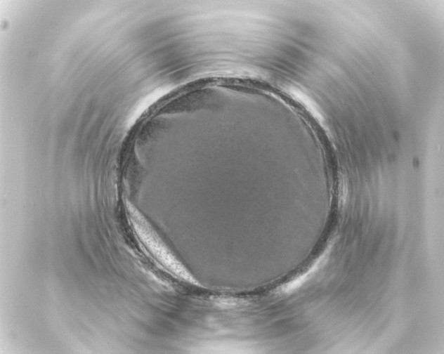 X0000088880829200706221812