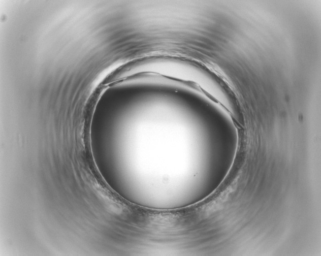 X0000088880830200706221812