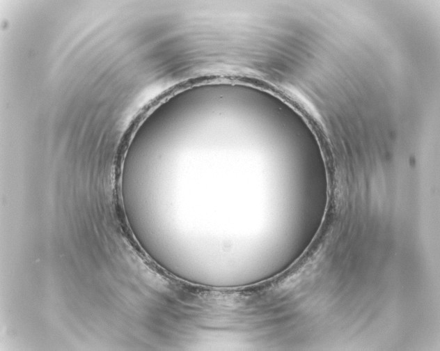 X0000088880831200706221812