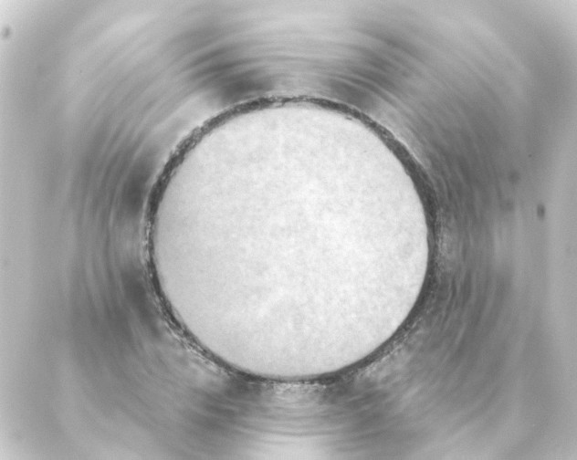 X0000088880832200706221812