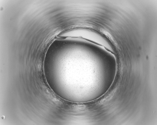 X0000088880833200706221812