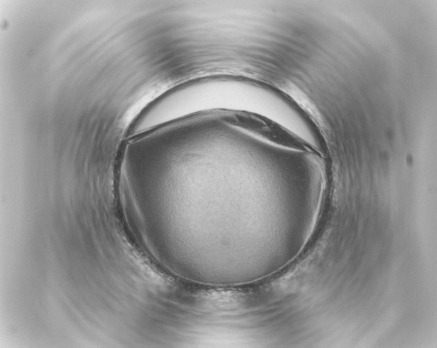 X0000088880834200706221812