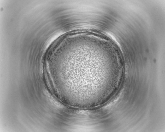 X0000088880835200706221812