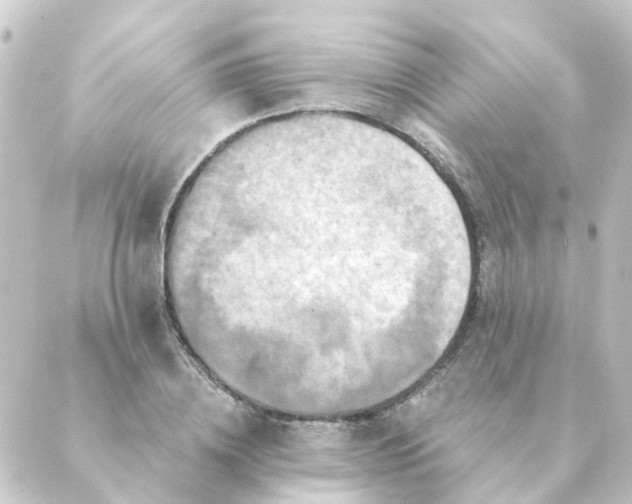 X0000088880836200706221812