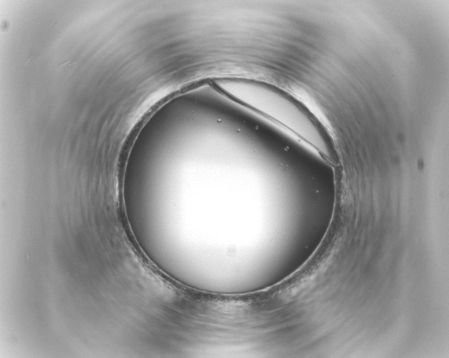 X0000088880837200706221812