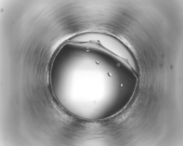 X0000088880838200706221812