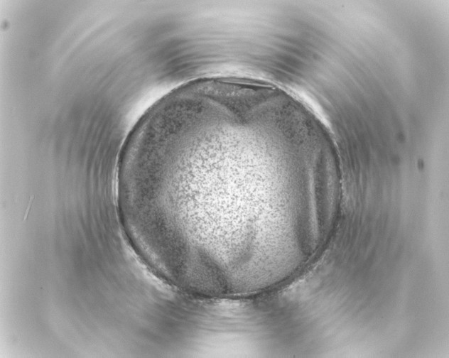 X0000088880839200706221812