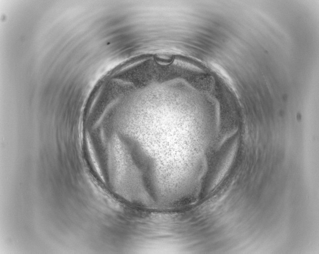 X0000088880840200706221812