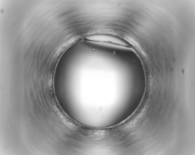 X0000088880841200706221812