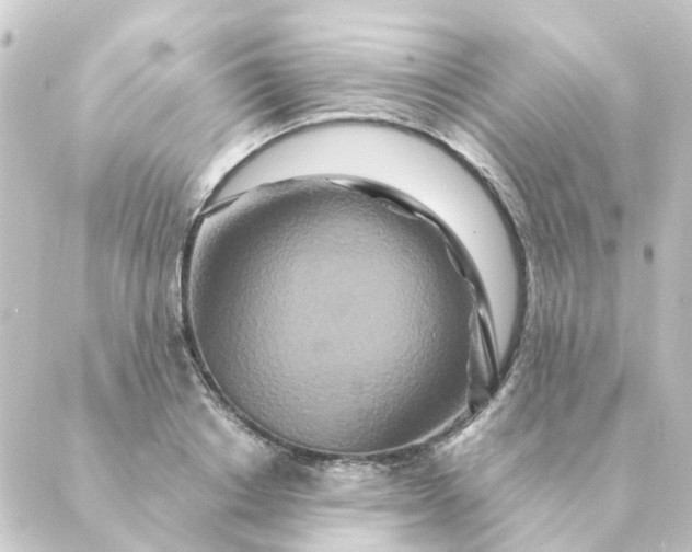 X0000088880842200706221812