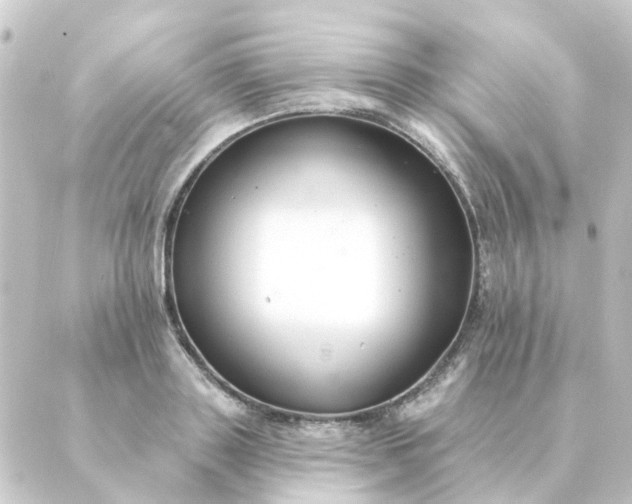 X0000088880843200706221812