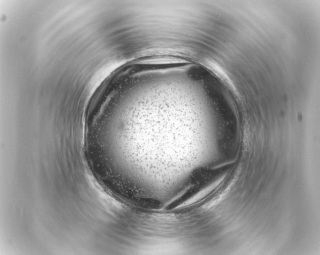 X0000088880844200706221812