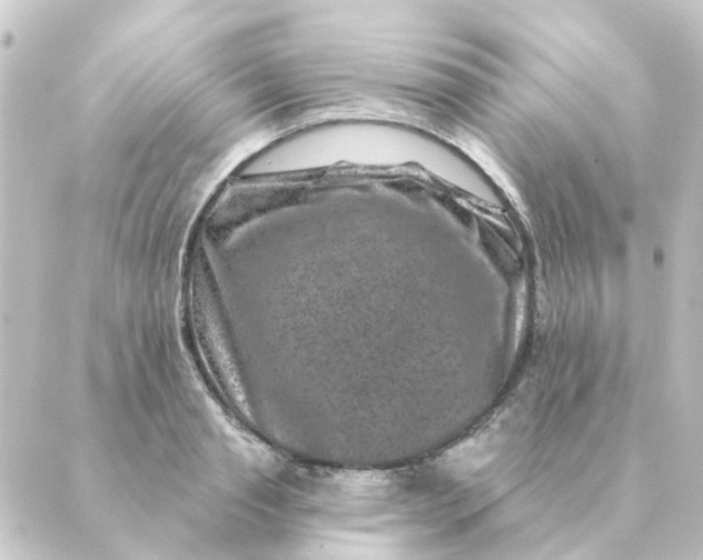 X0000088880845200706221812