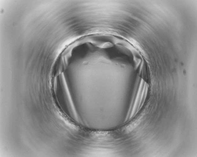 X0000088880846200706221812