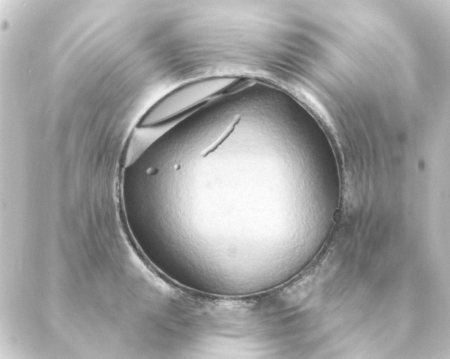 X0000088880847200706221813