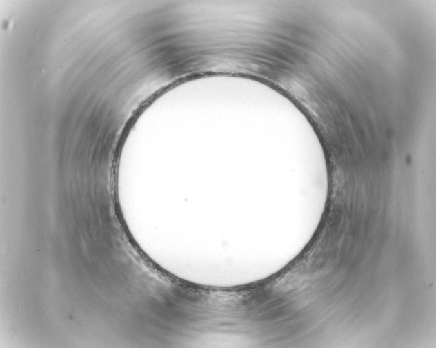 X0000088880848200706221813