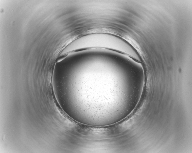 X0000088880849200706221813