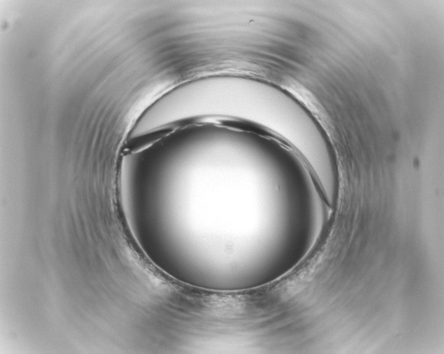 X0000088880850200706221813