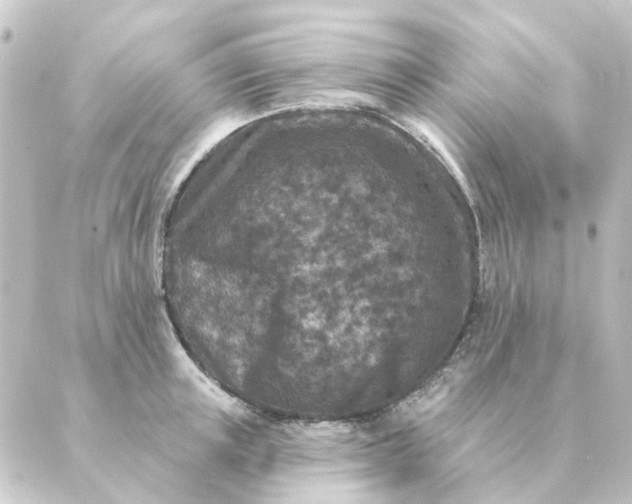 X0000088880851200706221813