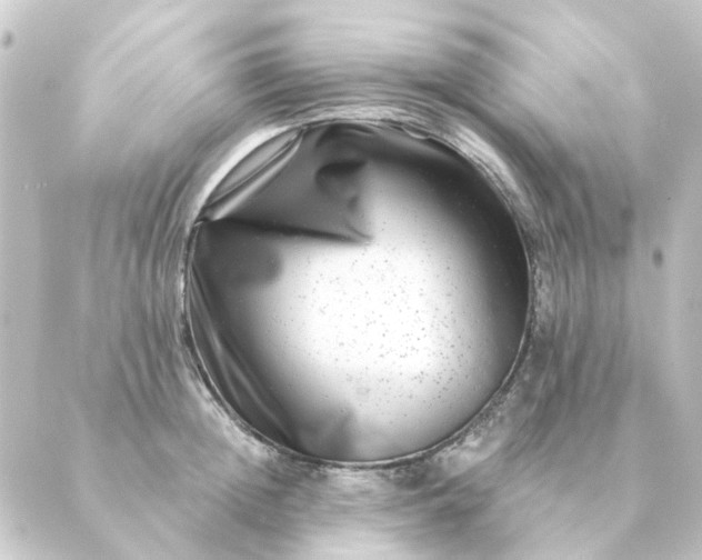 X0000088880852200706221813