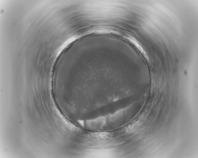 X0000088880853200706221813