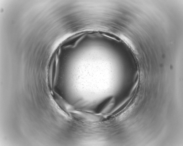 X0000088880854200706221813