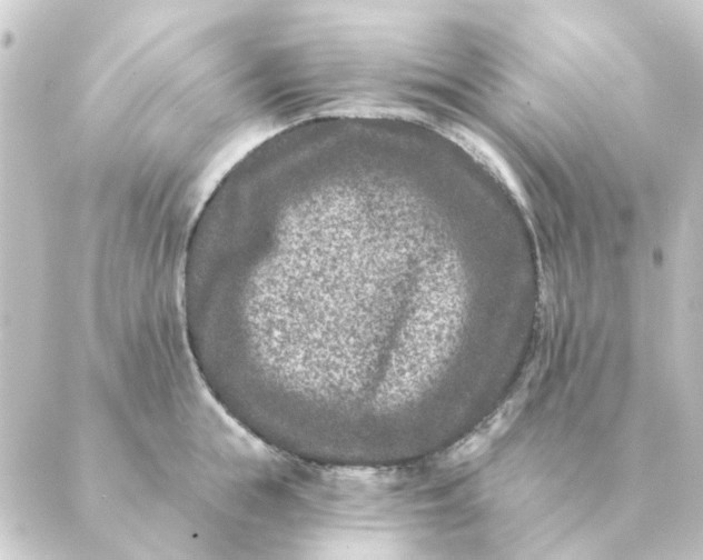 X0000088880855200706221813