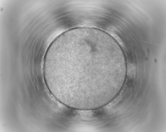 X0000088880856200706221813