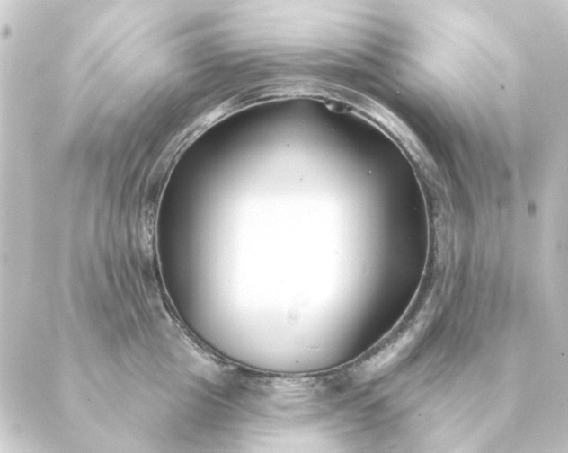 X0000088880857200706221813