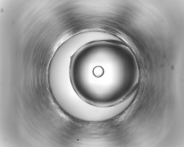 X0000088880858200706221813