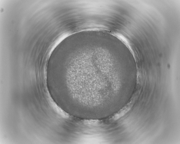 X0000088880859200706221813