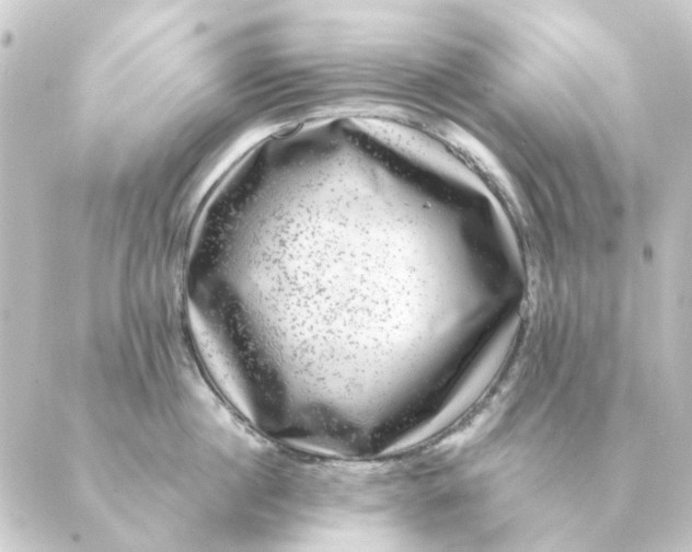 X0000088880860200706221813