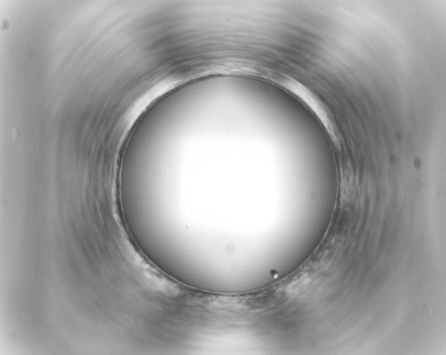 X0000088880861200706221813