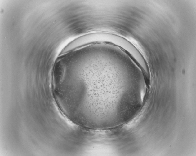 X0000088880862200706221813