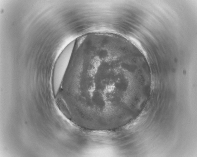 X0000088880863200706221813