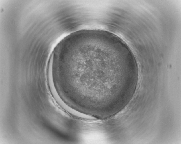 X0000088880864200706221813