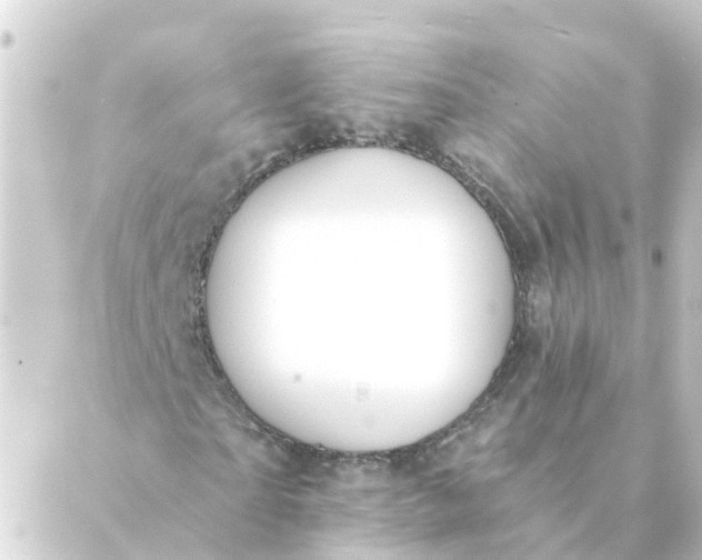 X0000088880865200706221812