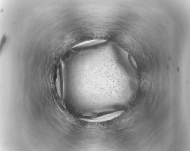 X0000088880866200706221812