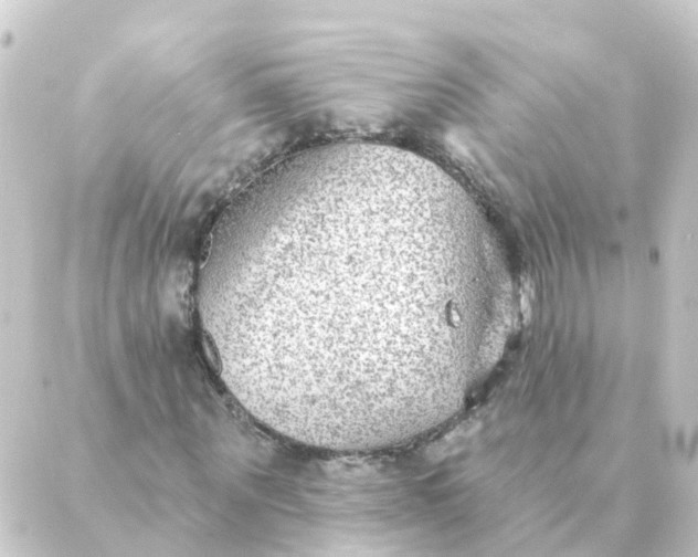 X0000088880867200706221812