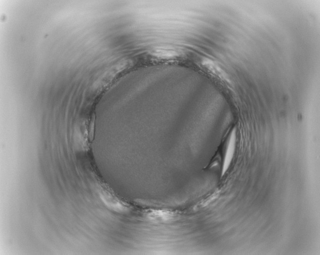 X0000088880868200706221812