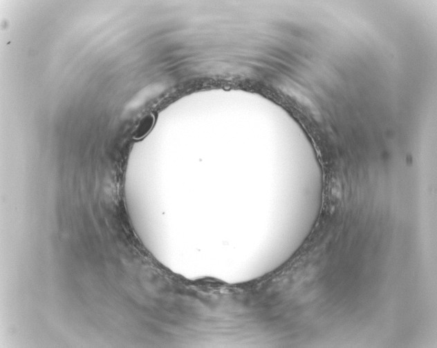 X0000088880869200706221812