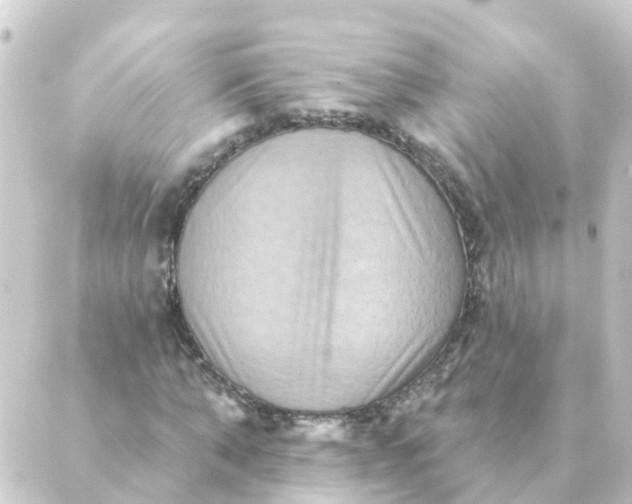 X0000088880870200706221812