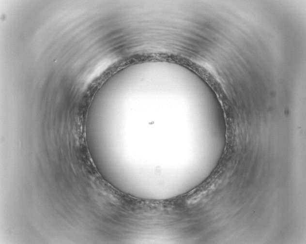 X0000088880871200706221812