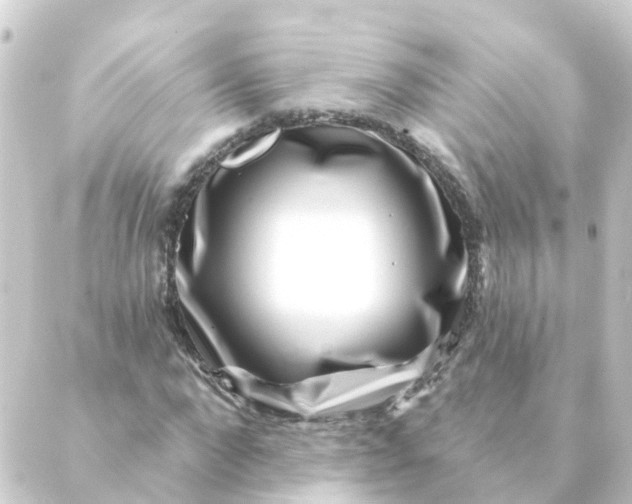 X0000088880872200706221812