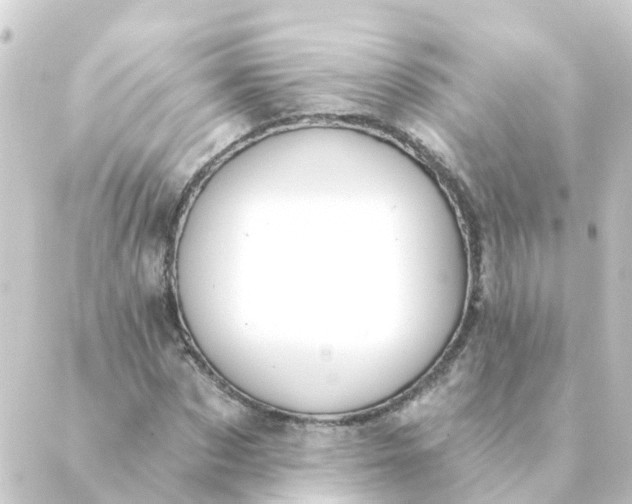 X0000088880873200706221812