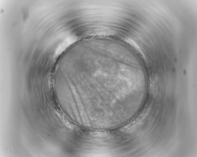 X0000088880874200706221812