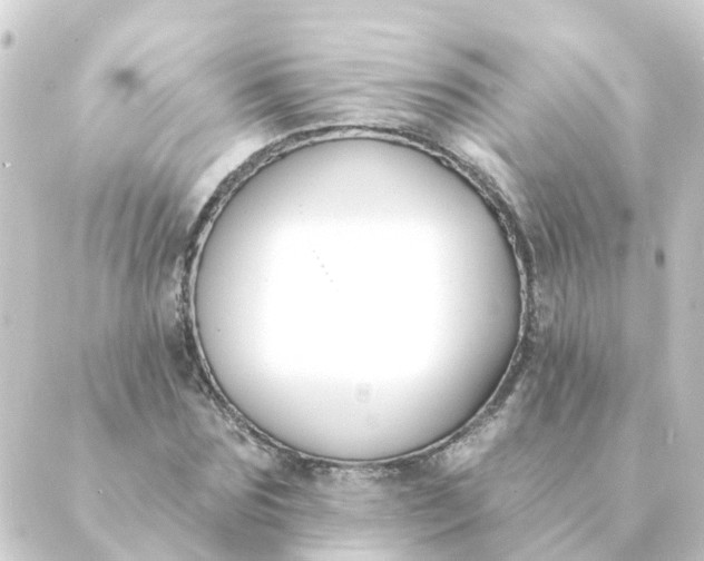 X0000088880875200706221812