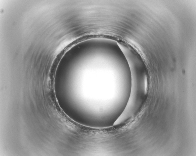 X0000088880876200706221812